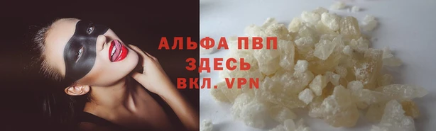 стафф Гвардейск